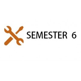 Semester 6