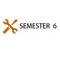 Semester 6
